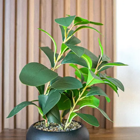 180° View In Diamond Building Apartamento *