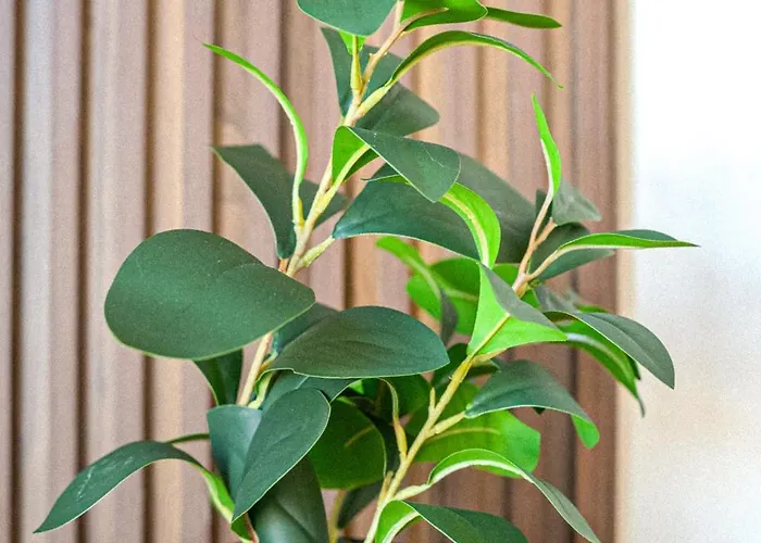 180° View In Diamond Building Lägenhet *